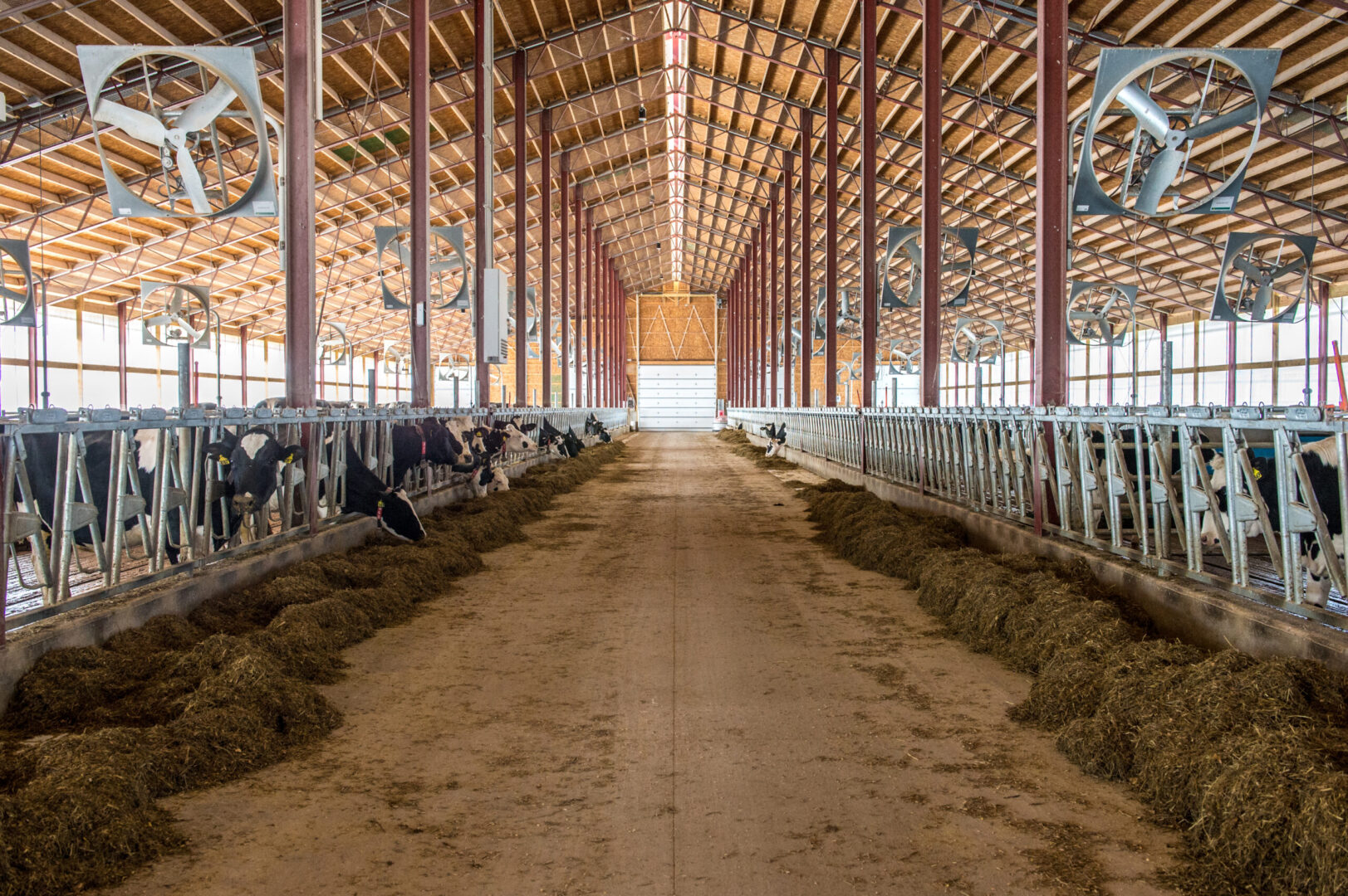 Livestock building